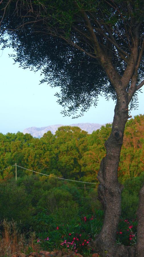 Sole Matto Rooms Olbia Exterior foto